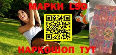 гидра Будённовск