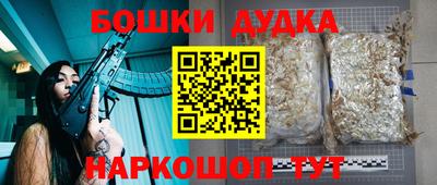 гидра Будённовск