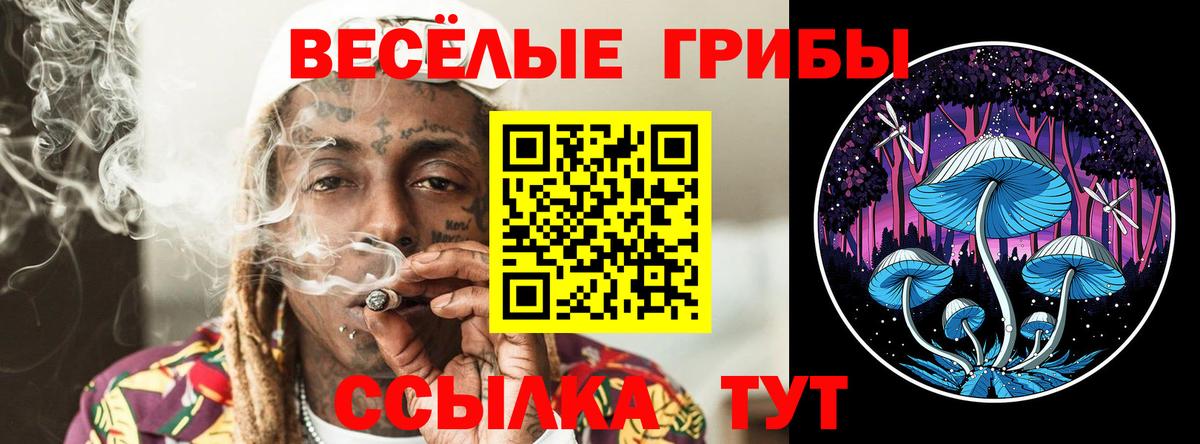 Псилоцибиновые грибы Psilocybine cubensis  Галлюциногенные грибы мицелий  Моздок  Вход с VPN 